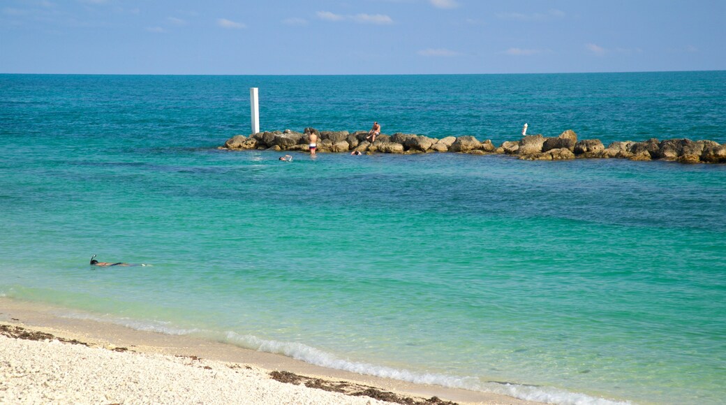 Fort Zachary Taylor Historic State Park which includes general coastal views and a sandy beach