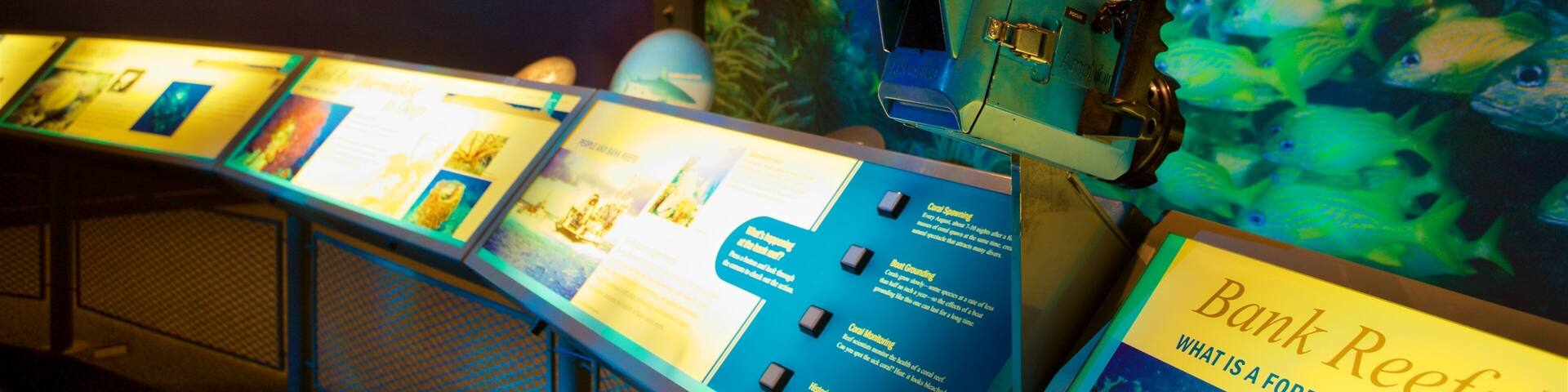 An aquarium exhibit with fish tanks and informational displays.