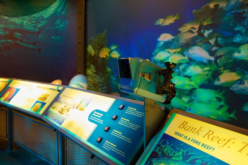 Eine Aquarienausstellung mit Fischbecken und Informationstafeln.