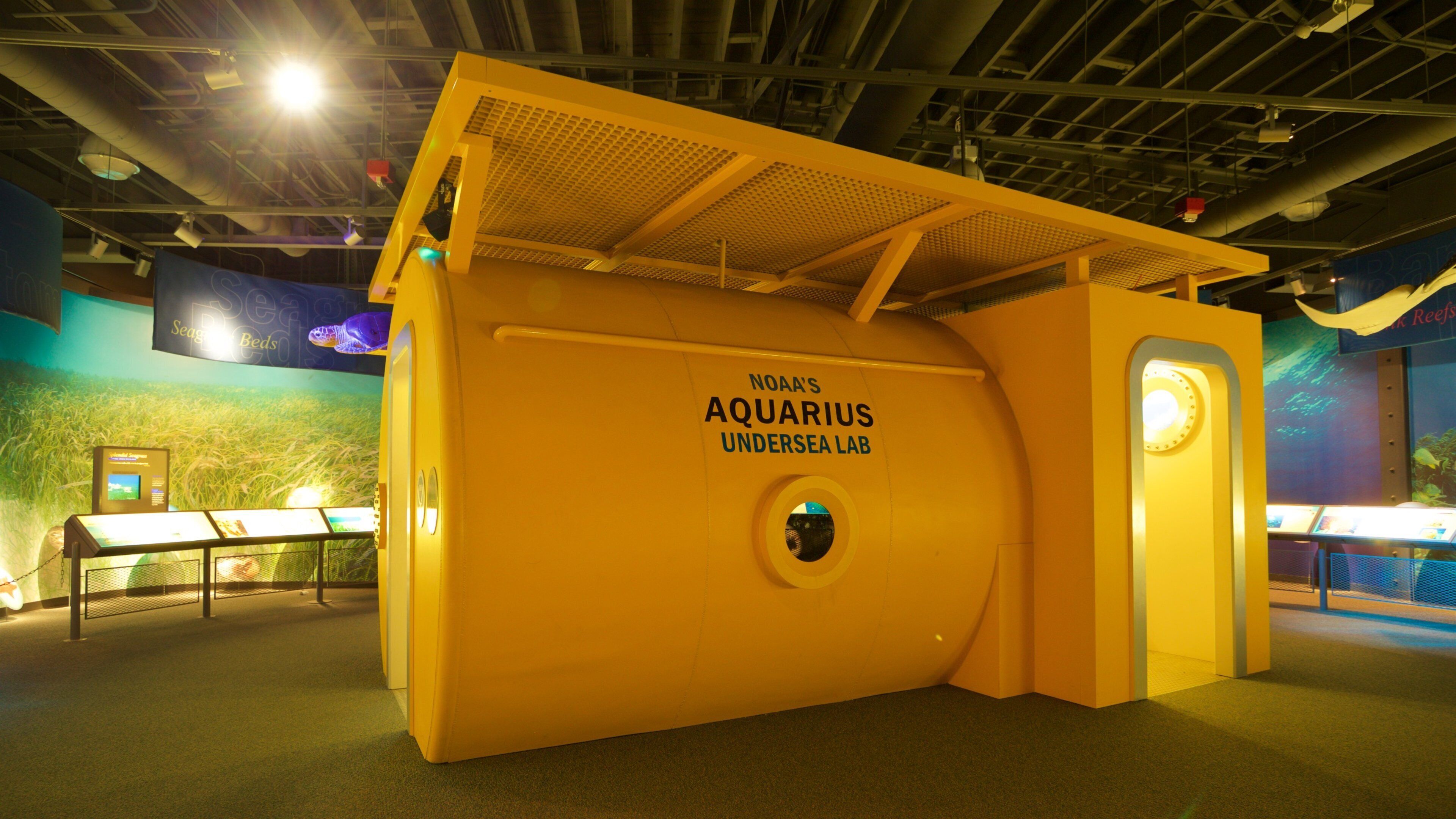 Florida Keys Eco - Discovery Center featuring marine life, signage and interior views