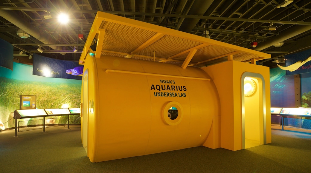 Florida Keys Eco - Discovery Center featuring marine life, signage and interior views