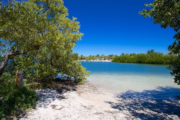 Curry Hammock State Park caracterizando uma praia de areia e uma baía ou porto