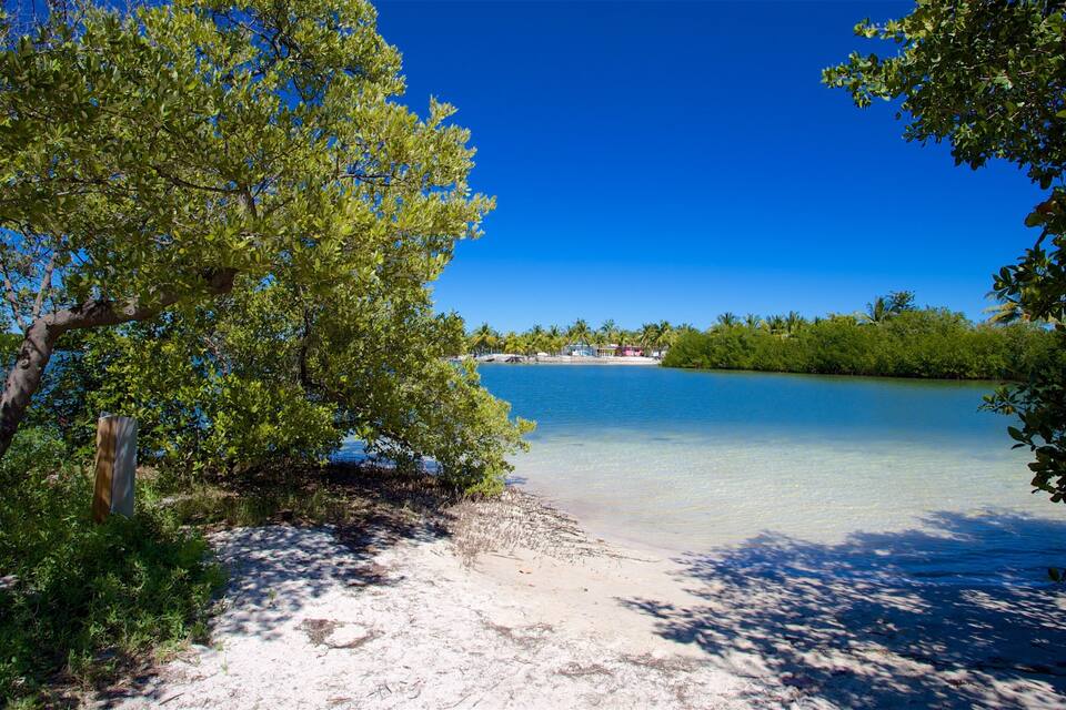 Una playa con agua turquesa cristalina, rodeada de exuberantes árboles verdes y una costa distante con edificios.