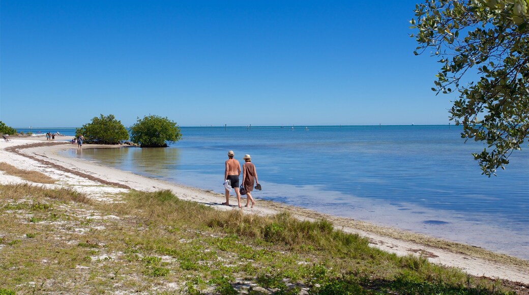 Curry Hammock statspark fasiliteter samt strand og bukt eller havn i tillegg til par