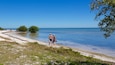 Ein Strand mit klarem, blauem Wasser, einem sandigen Ufer und etwas Grün.