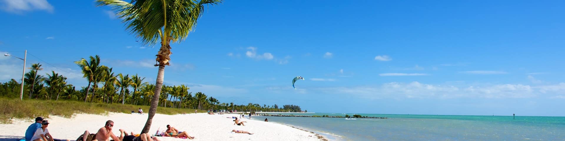 A beach with palm trees, clear blue sky, and calm sea.