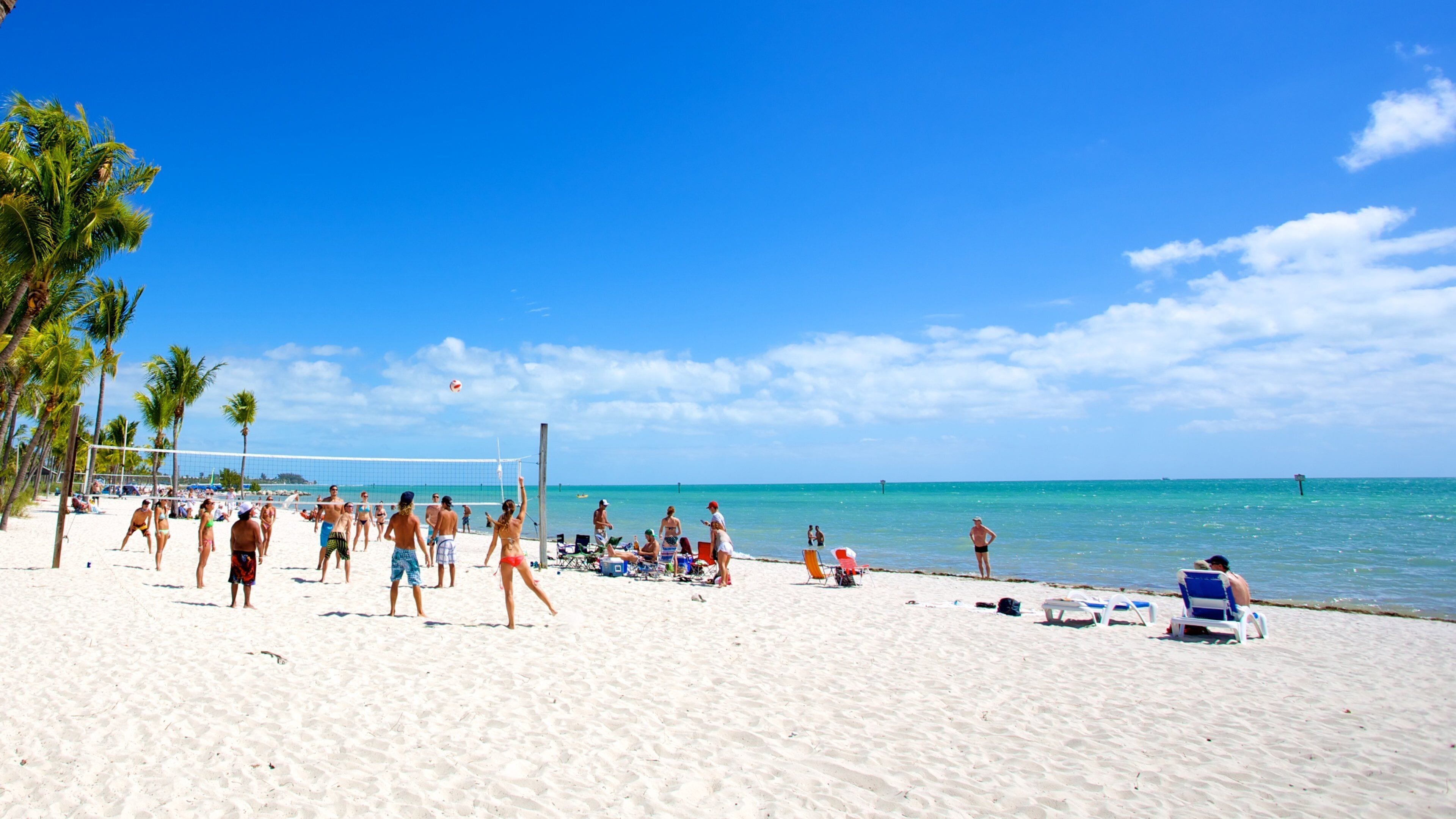 Partido de voleibol de playa con jugadores y espectadores, palmeras y un cielo azul despejado.