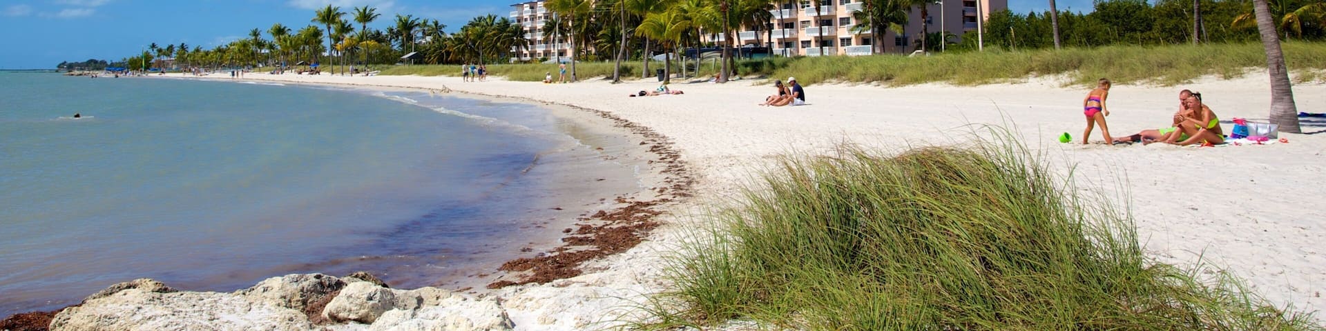 Smathers Beach showing a luxury hotel or resort, tropical scenes and a beach