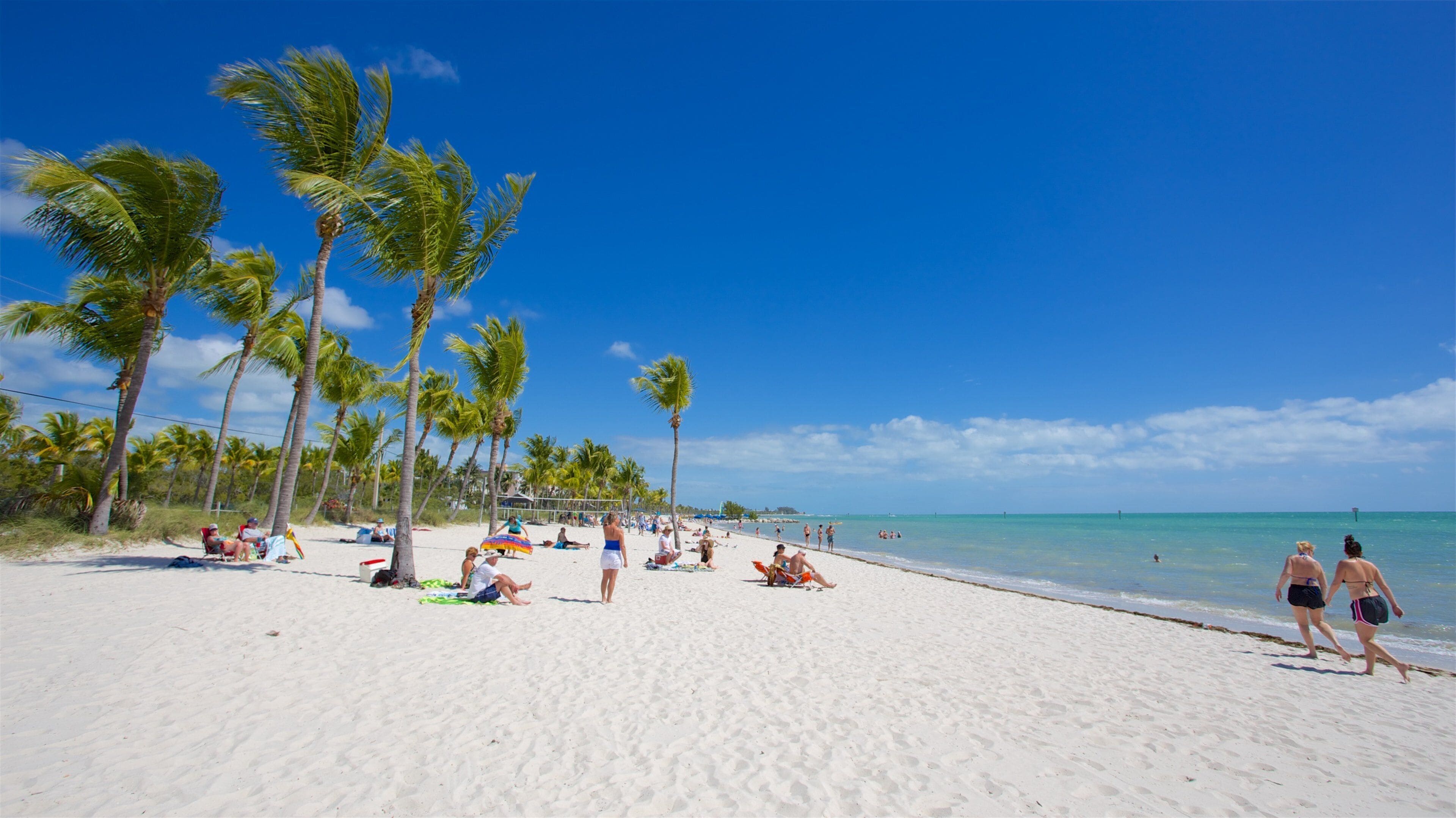 A beach with palm trees and people sunbathing.
