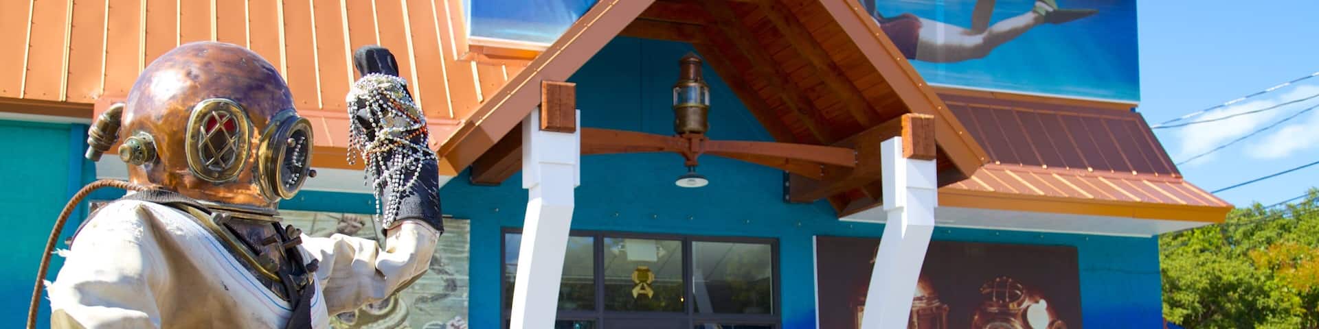 History of Diving Museum