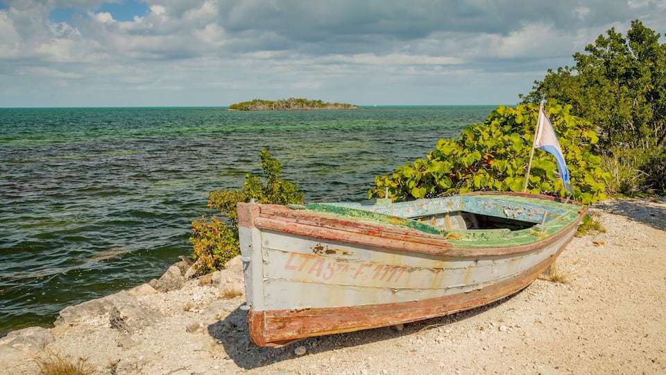 A weathered boat on a sandy beach with a small island in the background.