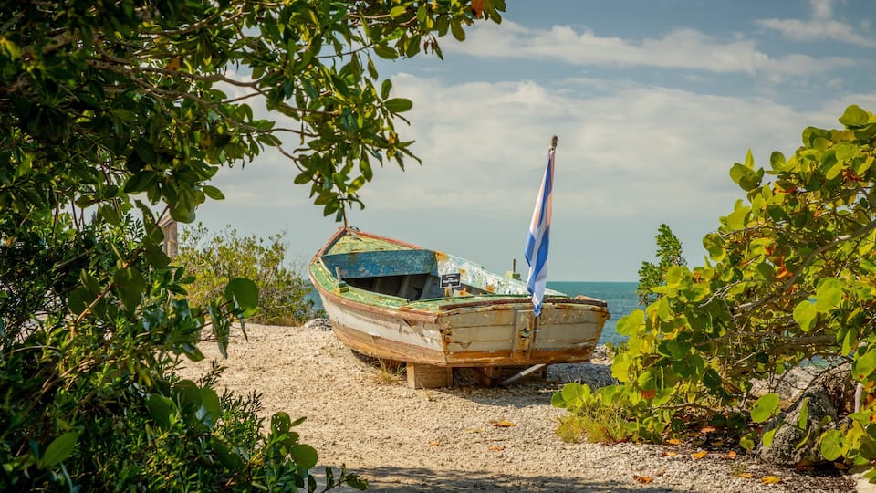 A weathered boat on a sandy beach with a flag, surrounded by greenery and the sea in the background.