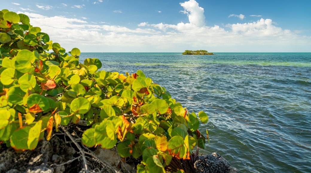 Crane Point Museum and Nature Center showing island views and general coastal views