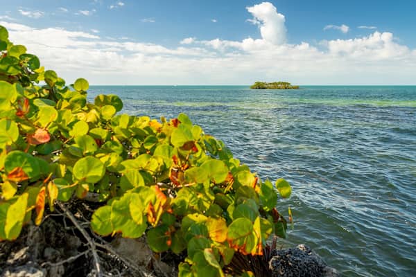 Crane Point Museum and Nature Center showing island views and general coastal views