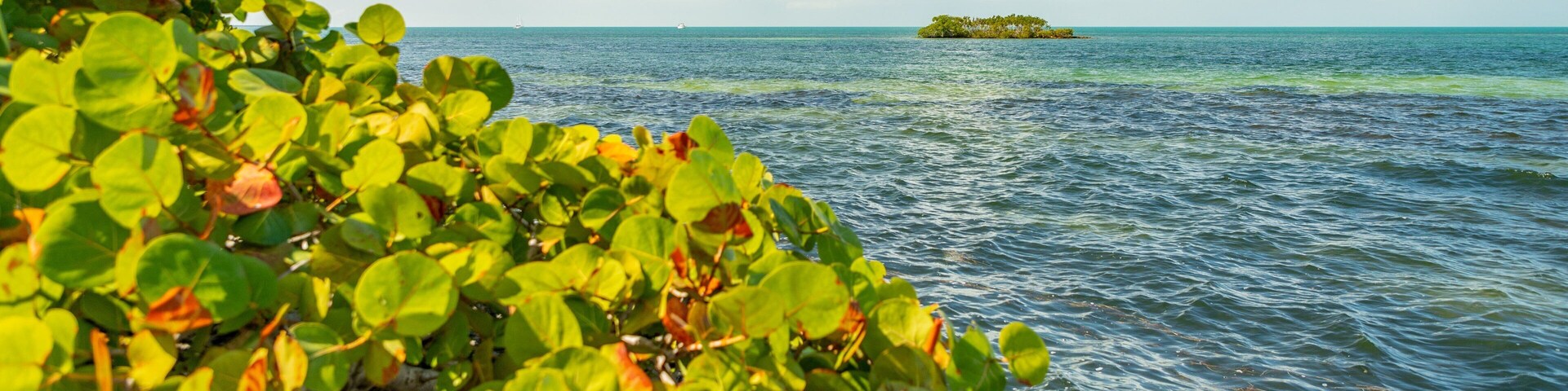 Crane Point Museum and Nature Center showing island views and general coastal views