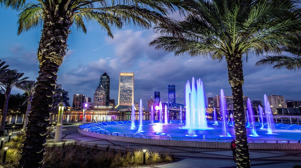 Friendship Park featuring a park, night scenes and a city