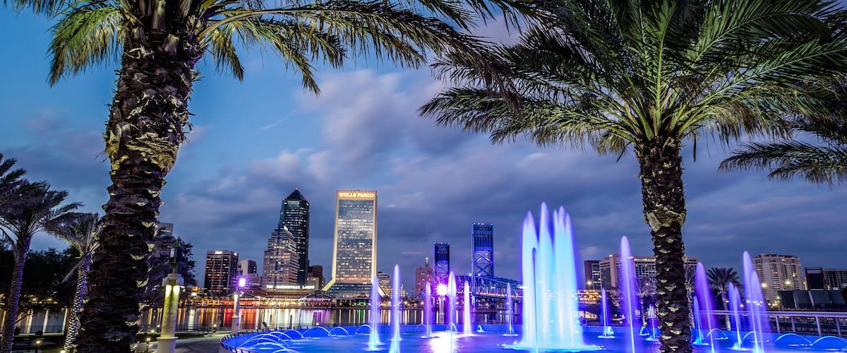 Friendship Park featuring a fountain, a garden and night scenes