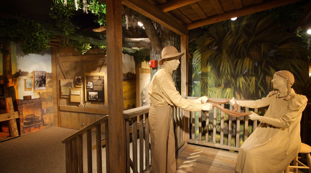 Orange County Regional History Center which includes general coastal views and interior views