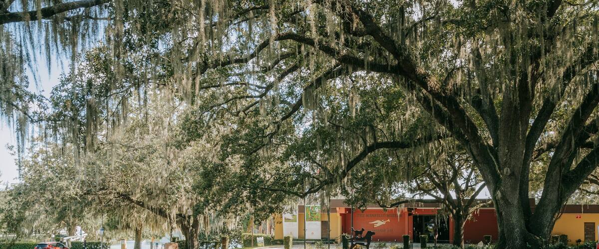Mennello Museum of American Art showing a park