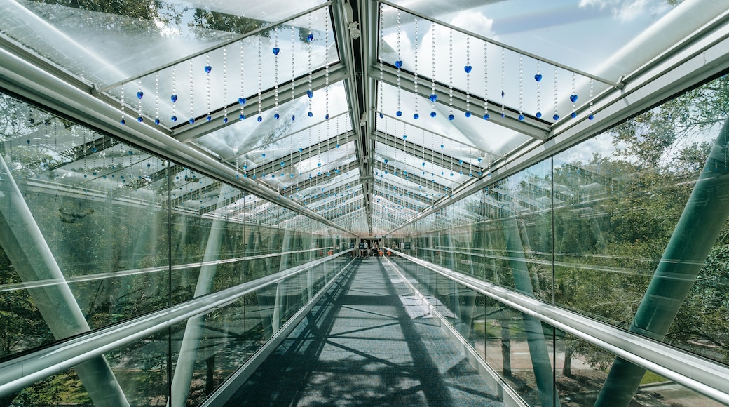 Orlando Science Center which includes a bridge