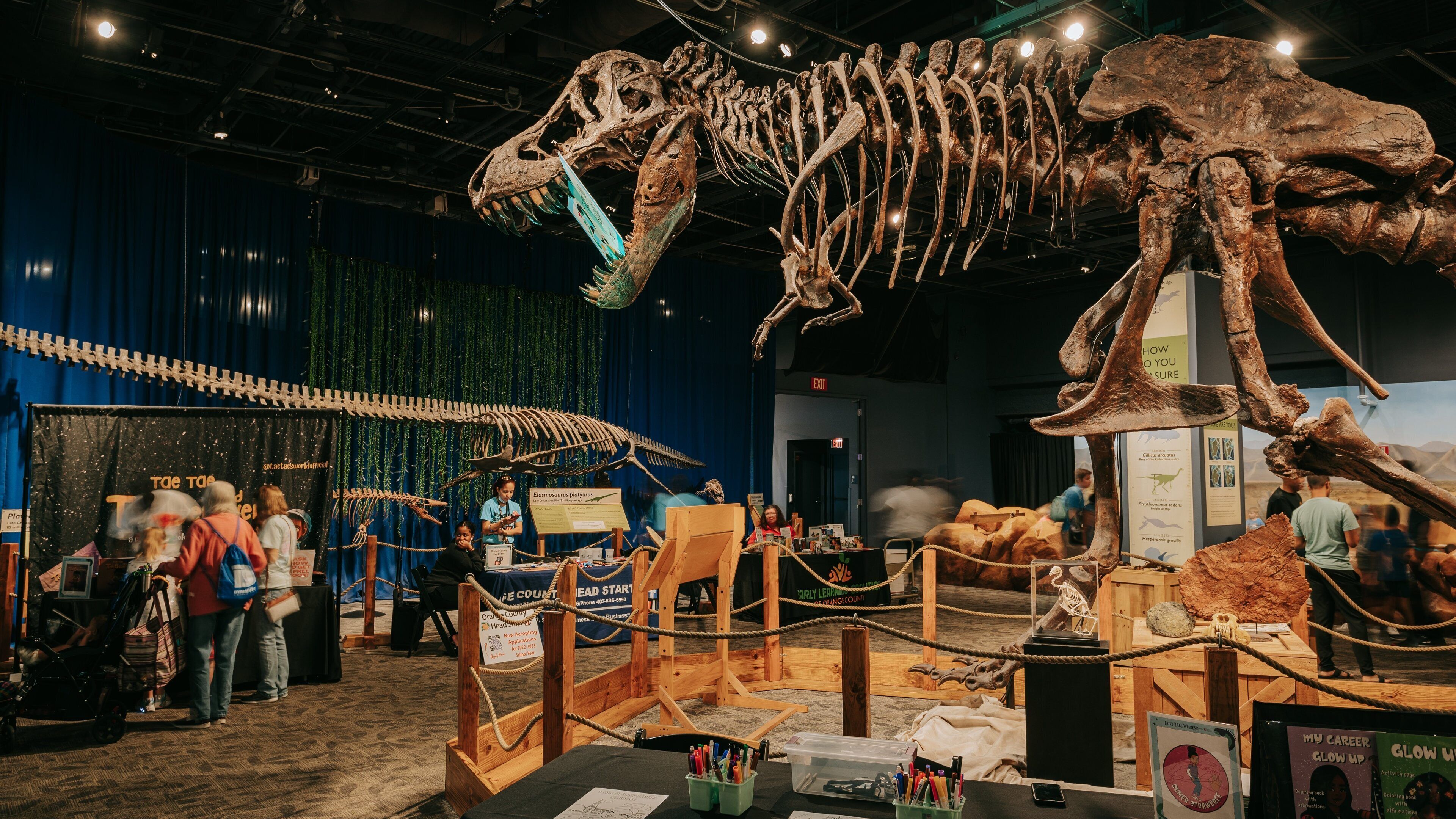 Orlando Science Center showing heritage elements