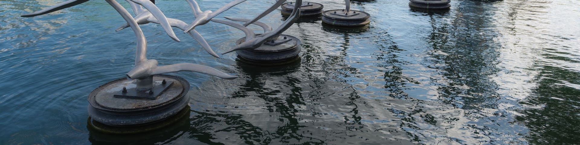 Lake Eola, Orlando - Bird sculptures