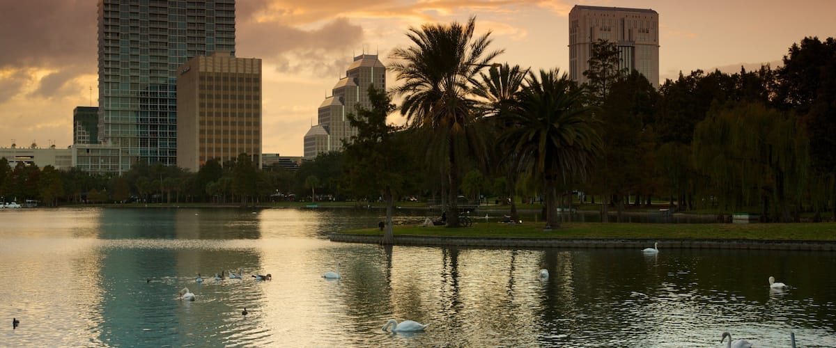 Lake Eola Park mit einem Stadt, See oder Wasserstelle und Sonnenuntergang
