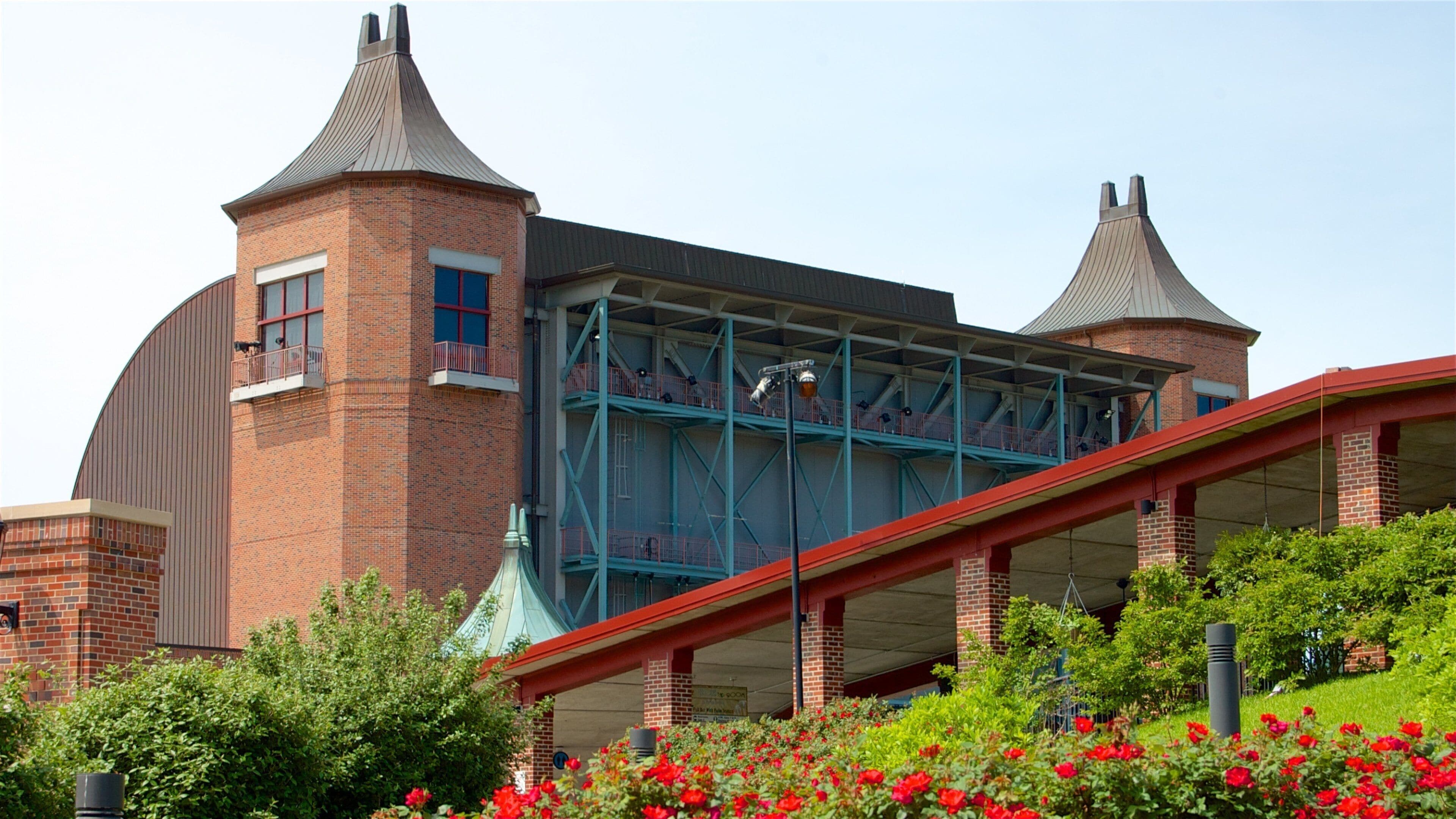 星光劇場 其中包括 野花