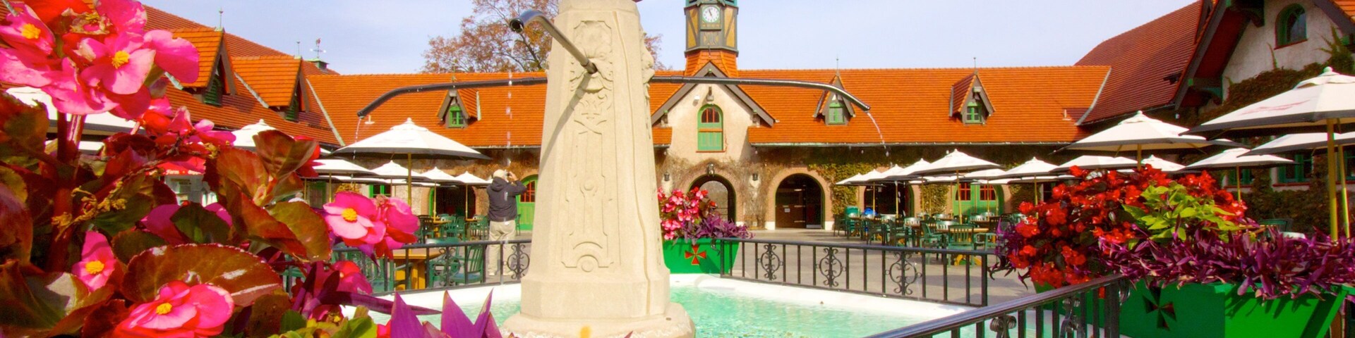 Grants Farm showing heritage architecture and flowers