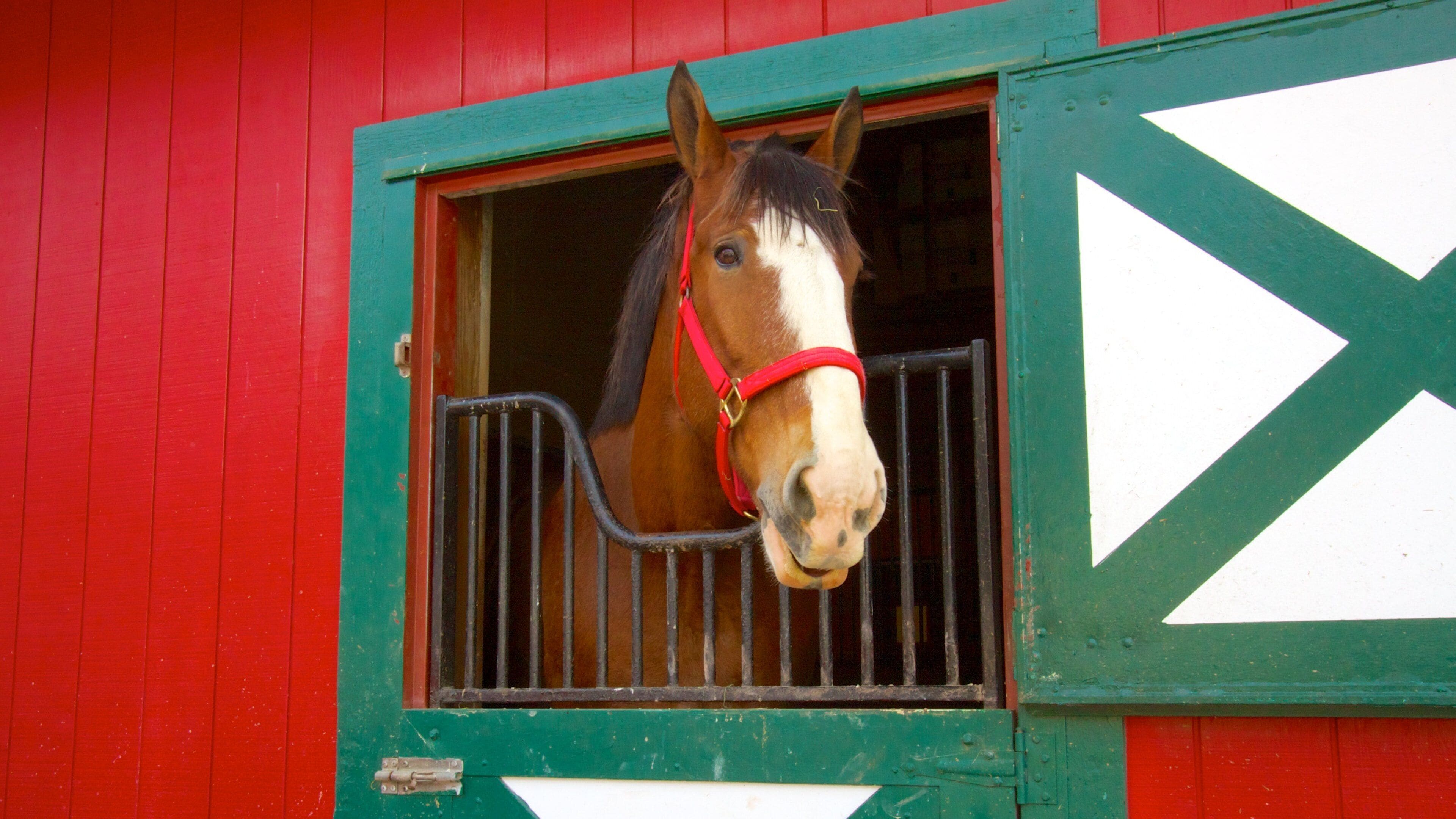 Grants Farm featuring land animals