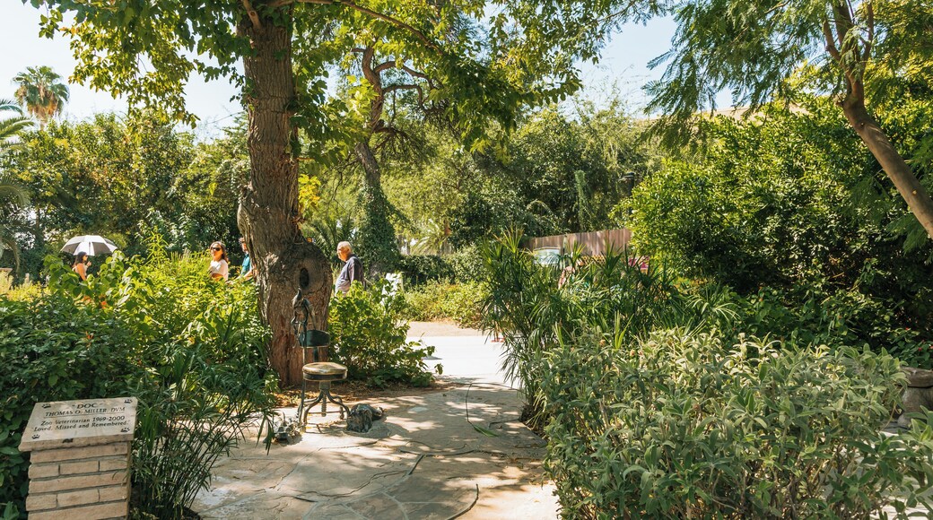 A garden with a stone bench, a tree, and a sign.