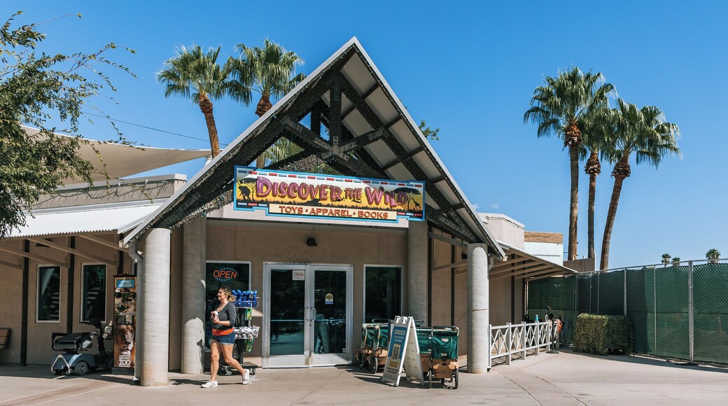 A storefront with a sign reading 'Discover the Wild' and a palm tree in the background.