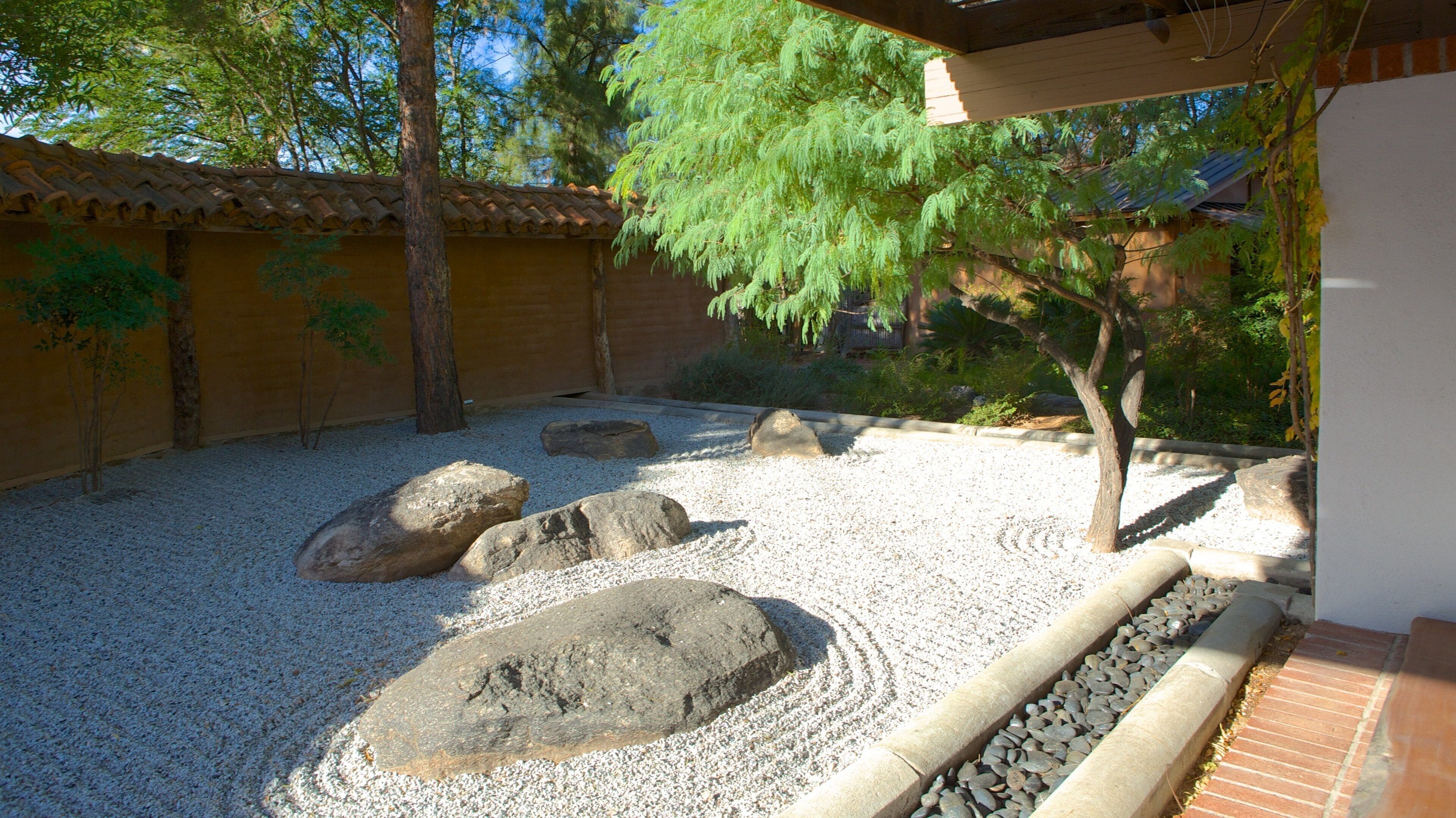 Tucson Botanical Gardens showing outdoor art and a garden