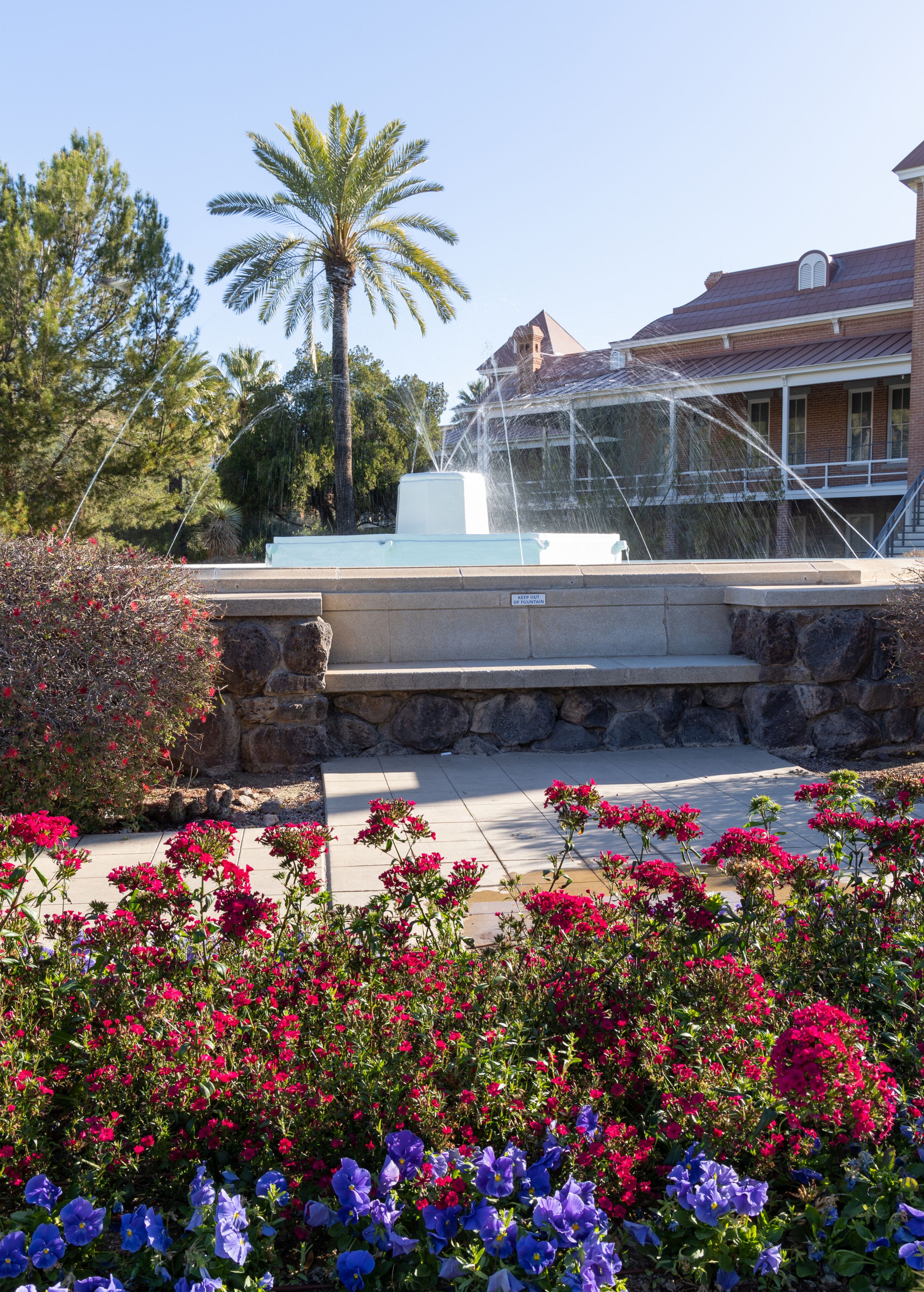 University of Arizona