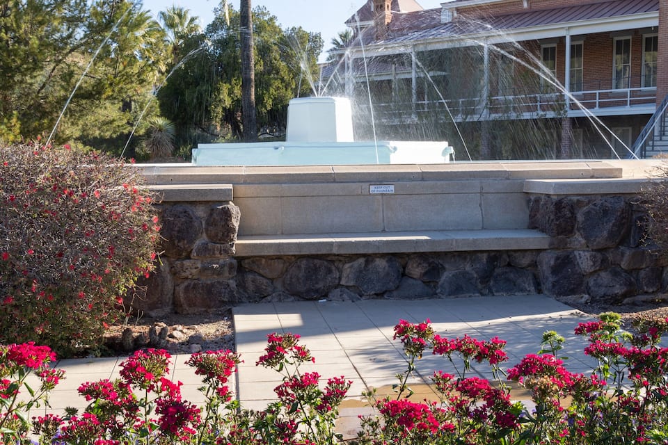Ein Brunnen, eine Palme und ein Gebäude mit rotem Dach.