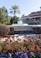 Universiteit van Arizona