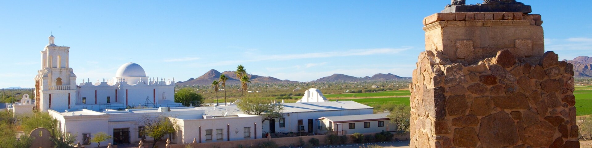 Mission San Xavier del Bac mostrando una estatua o escultura, una iglesia o catedral y situaciones tranquilas