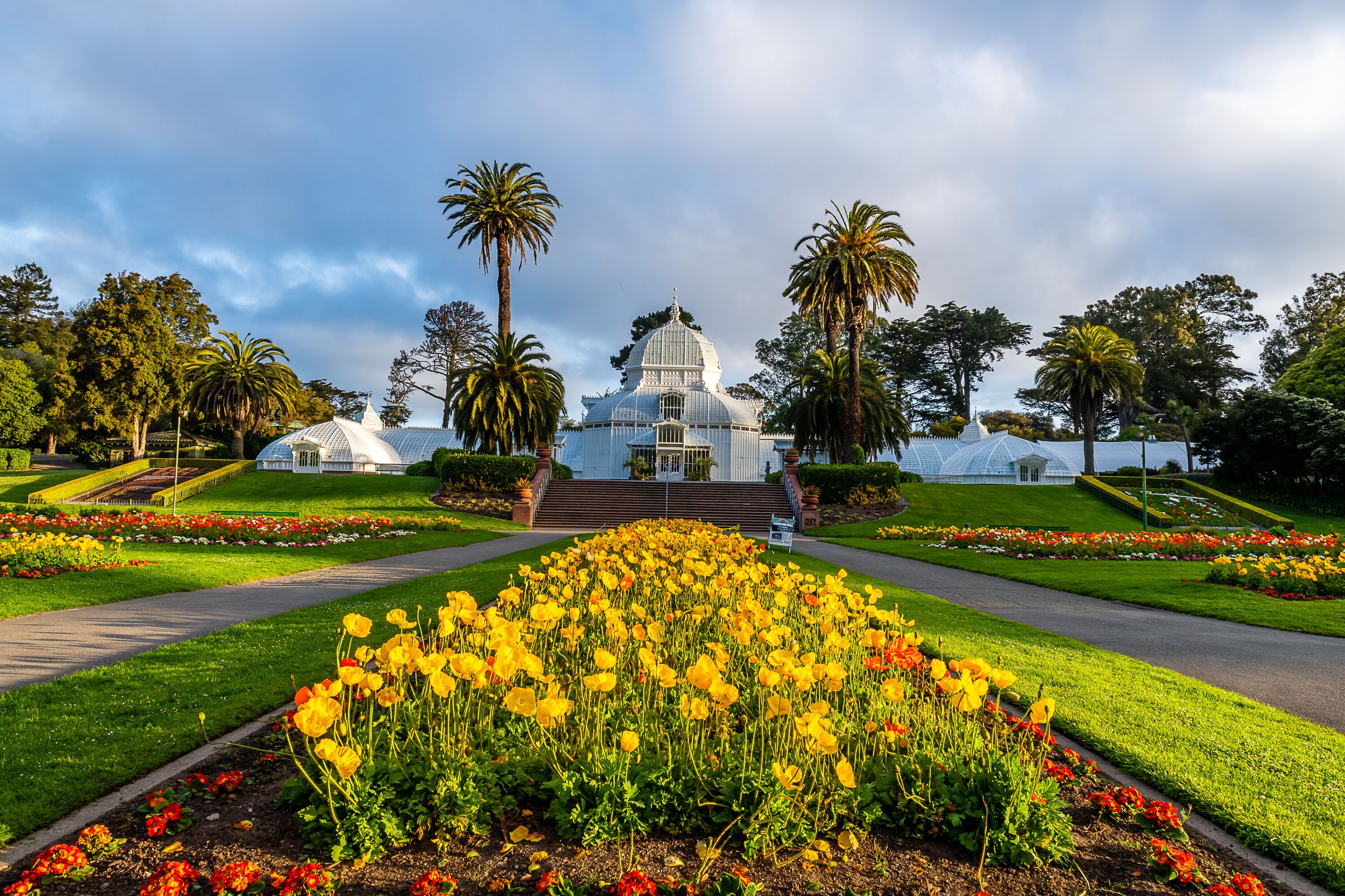 Early Morning from the Golden Gate Park