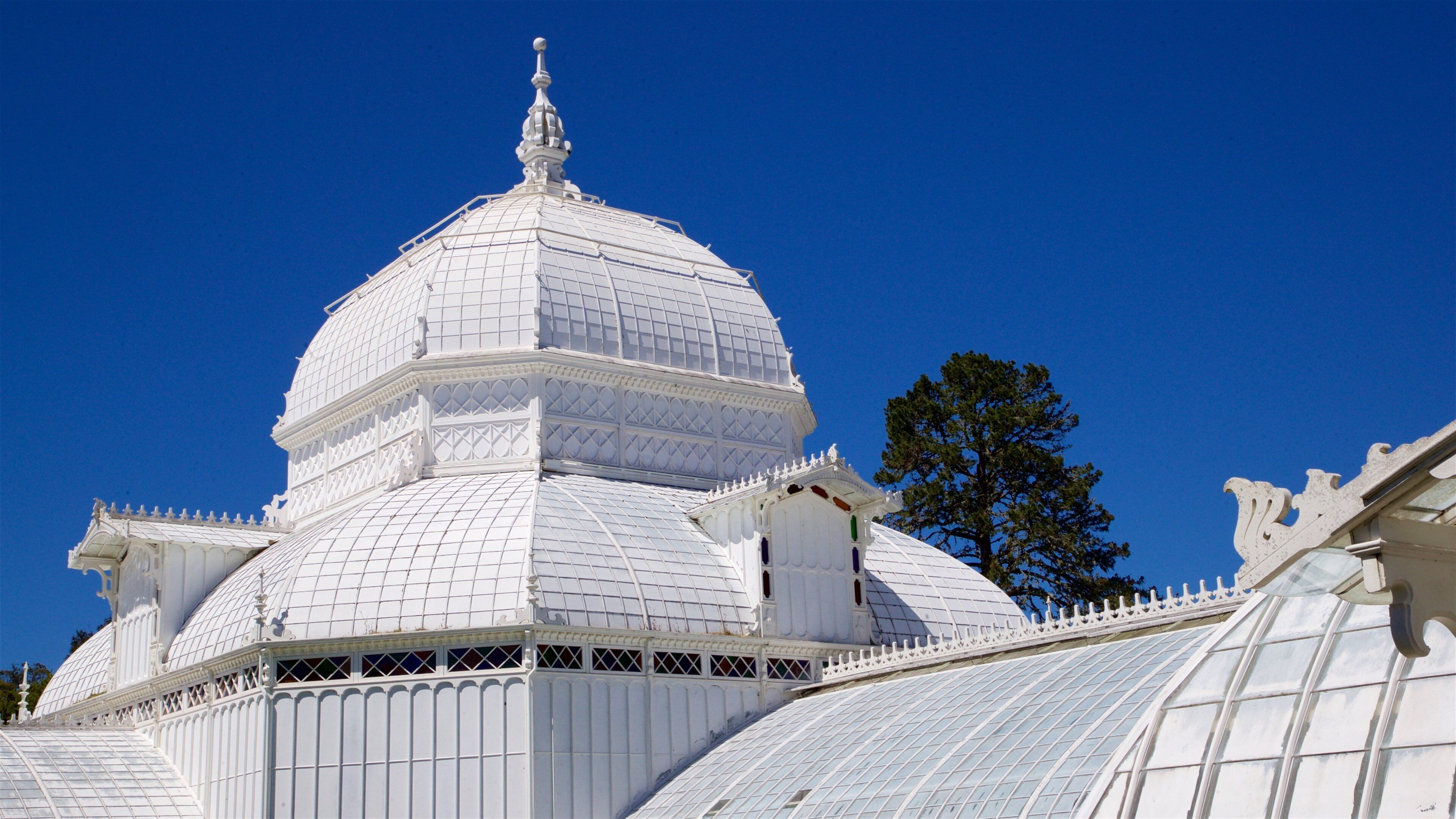 Conservatory of Flowers featuring heritage elements