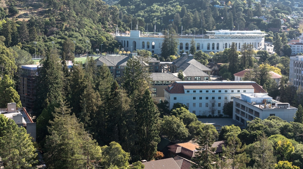 California Memorial Stadium view from the Campanile, Berkeley