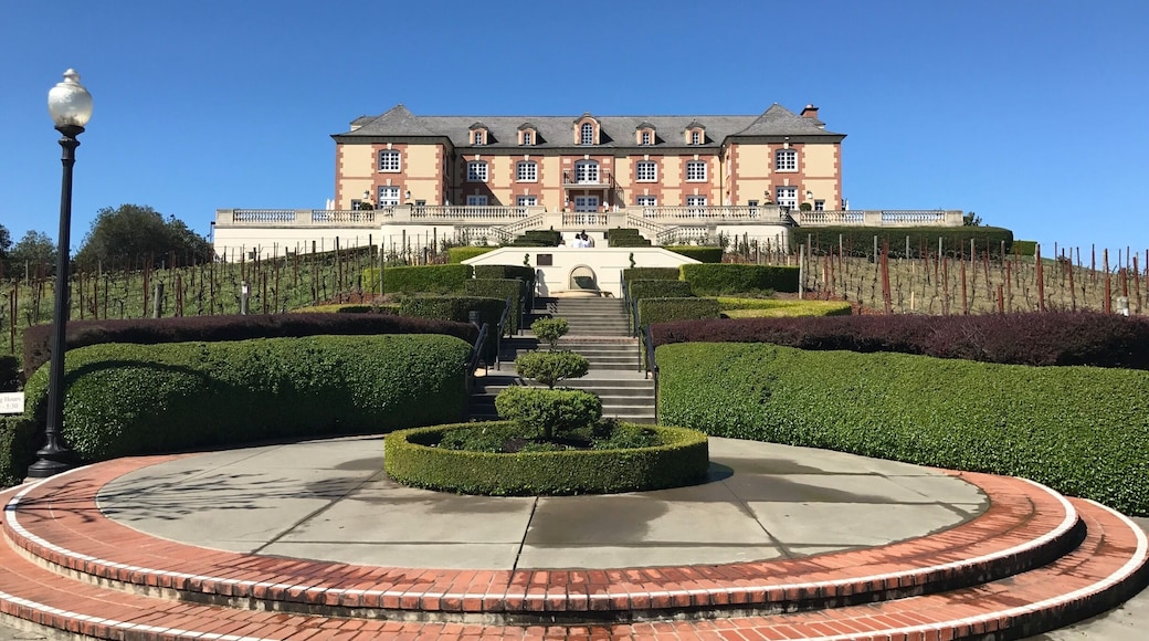 Delicious sparkling wine sampler