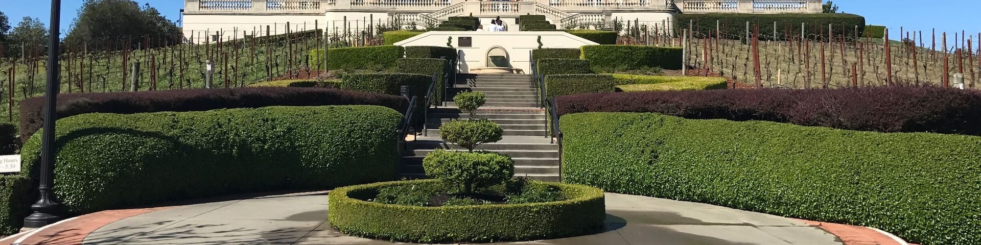 Delicious sparkling wine sampler
