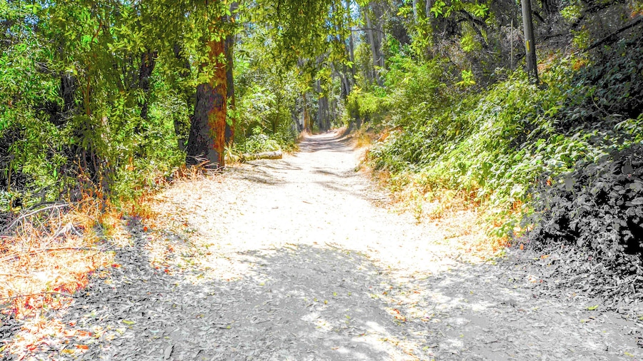 Napa_WestwoodHillsPark_6069463_05