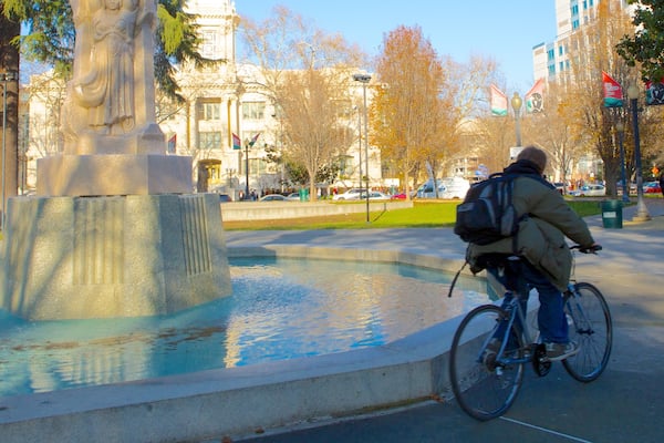 Cesar Chavez Park showing a garden, a statue or sculpture and a city