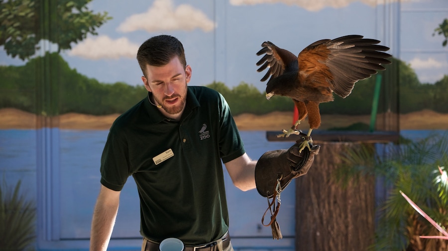 Sacramento Zoo showing bird life and zoo animals as well as an individual male