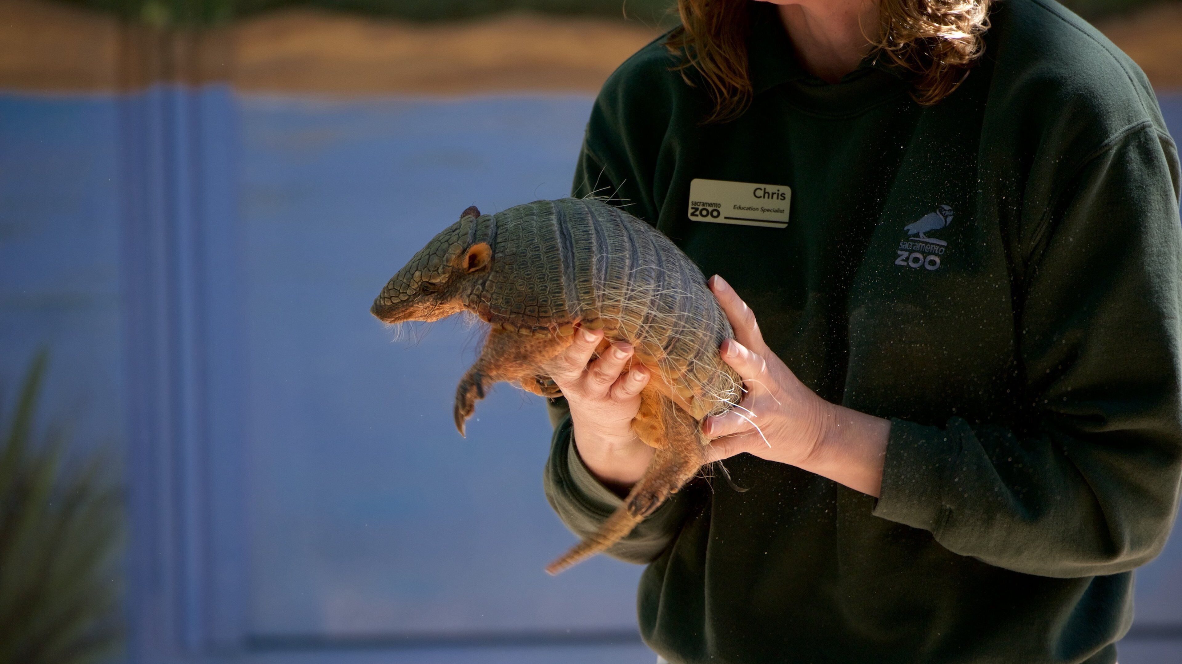Sacramento zoologiske hage som inkluderer dyr