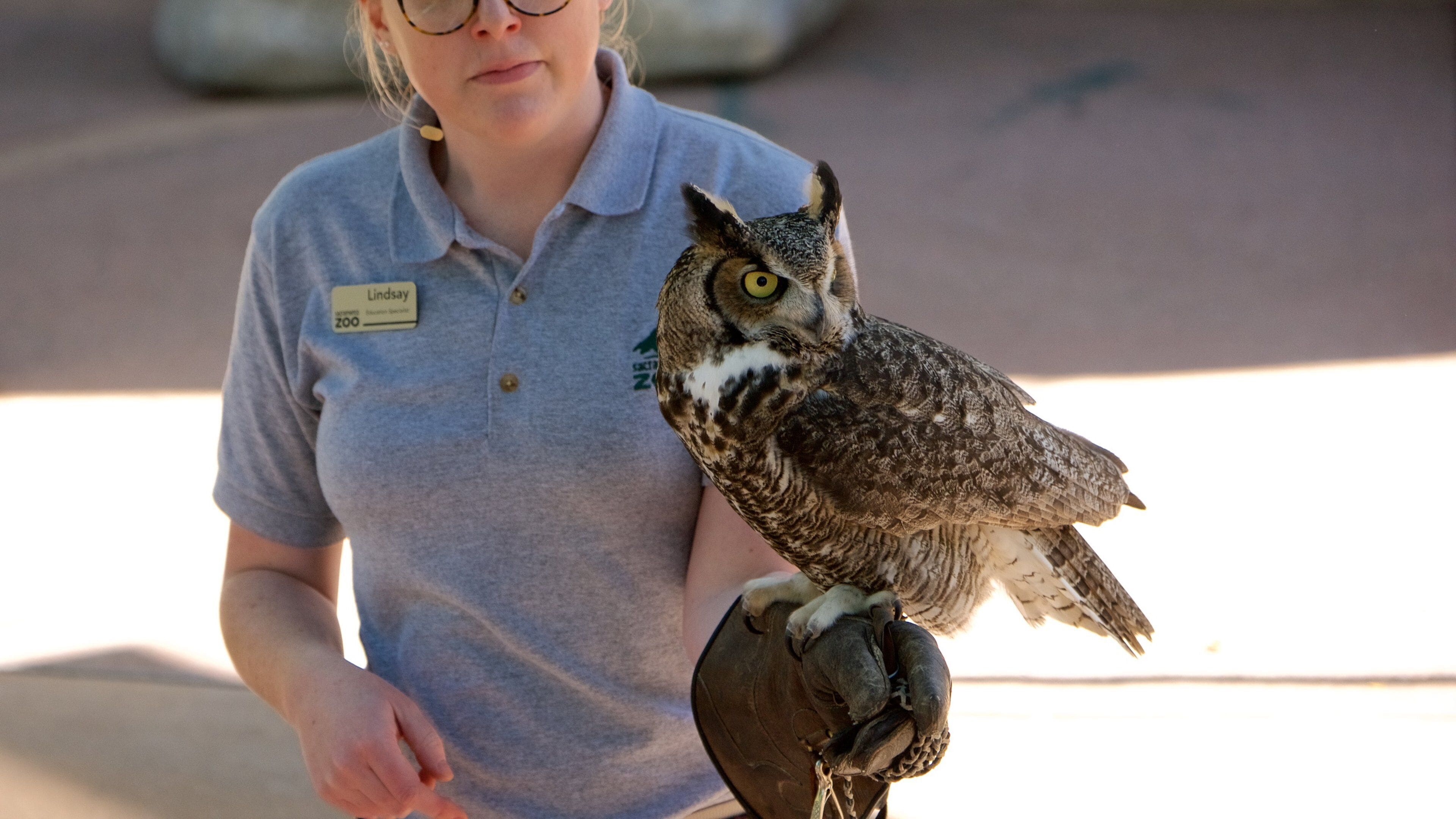 새크라멘토 동물원 을 보여주는 조류
