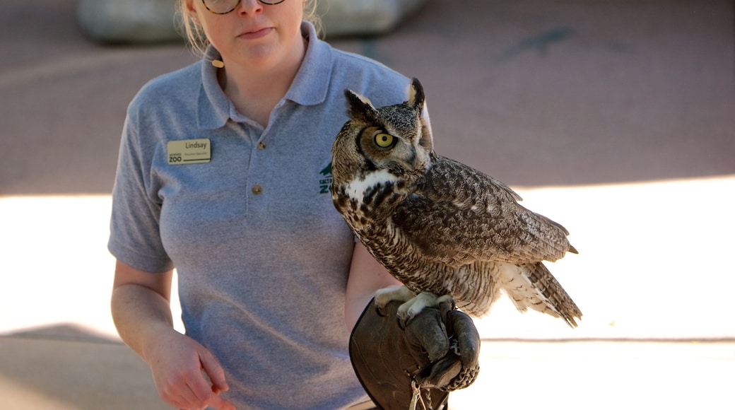 새크라멘토 동물원 을 보여주는 조류
