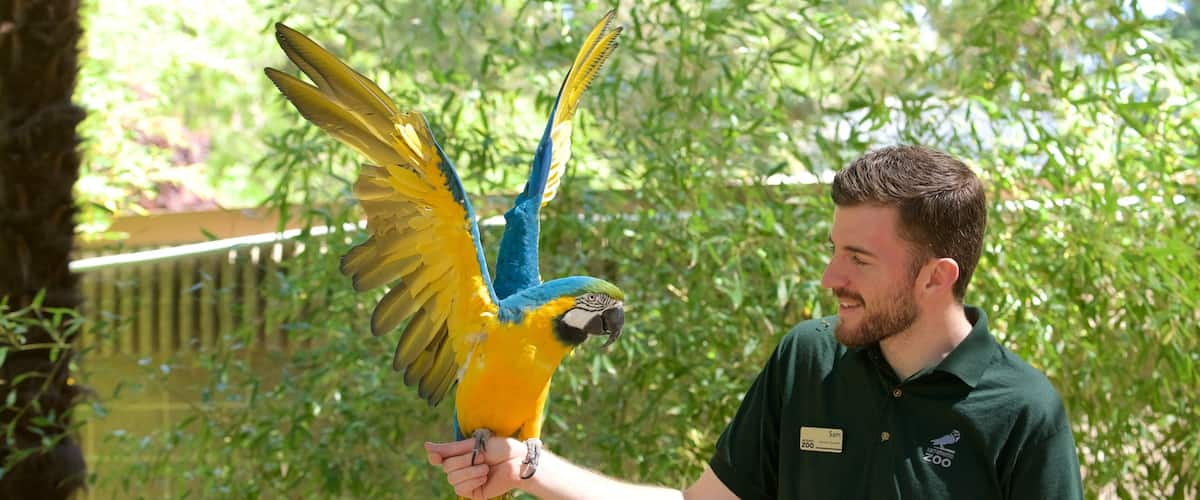 Sacramento Zoo which includes bird life