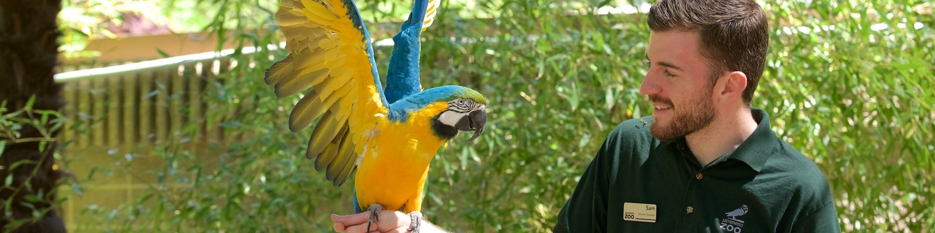 Sacramento Zoo mostrando vida das aves